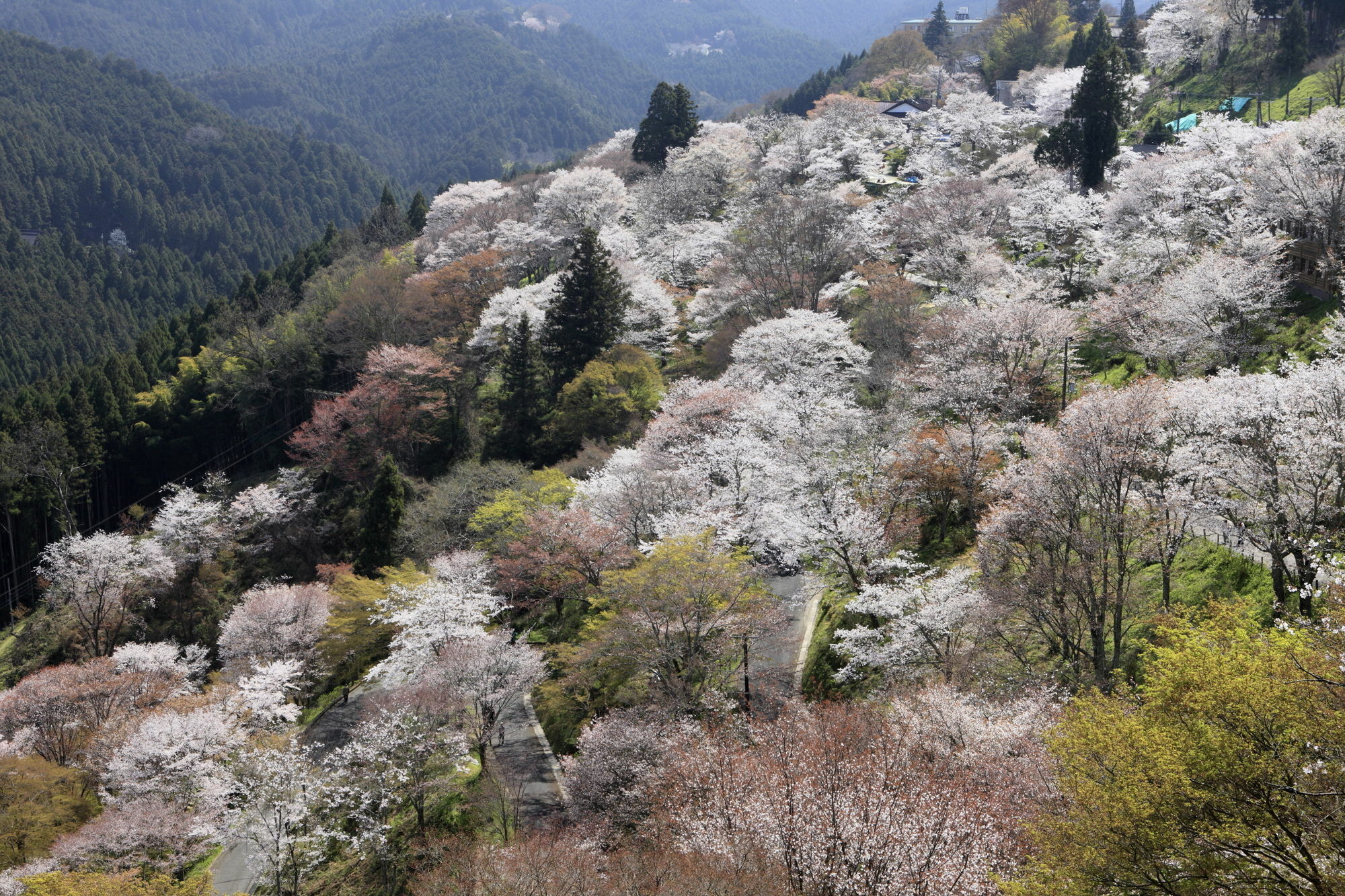 Ryokan Kato Йосино Экстерьер фото